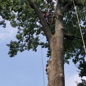 Meet your Posher, Erick